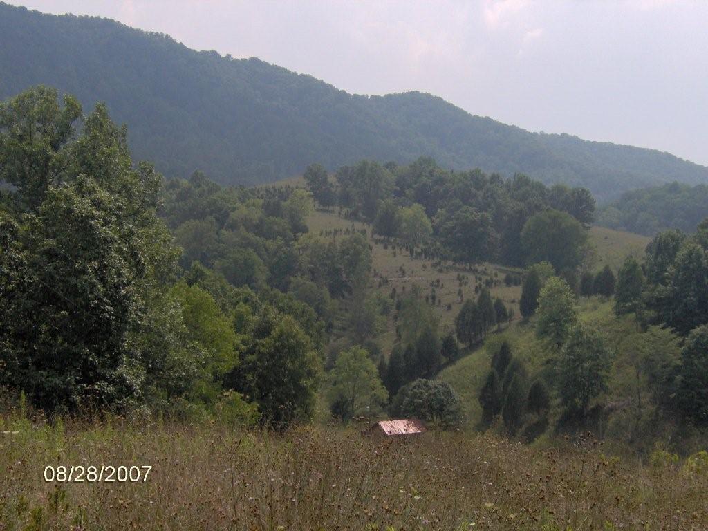 448 Acres Russel County